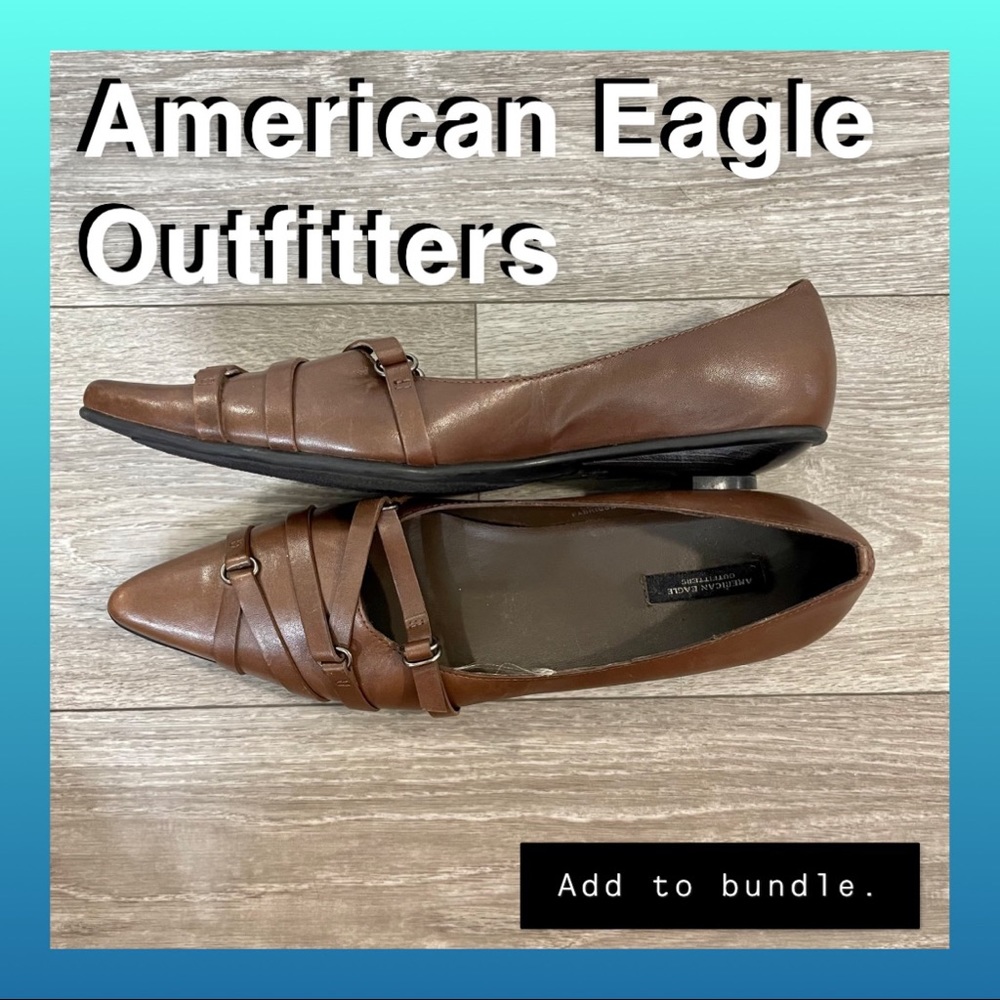 American Eagle Outfitters Brown Leather Point Flat